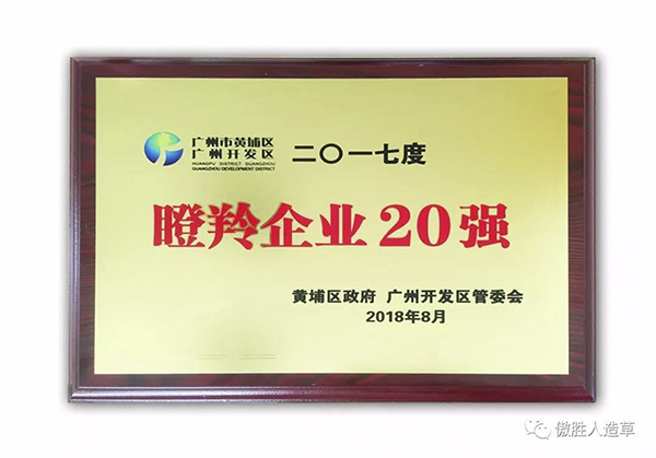 廣州傲勝人造草股份有限公司喜獲瞪羚企業(yè)稱號(hào)