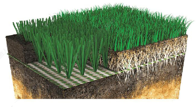 頂級球場最佳選擇-人造草+天然草混合系統(tǒng)