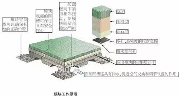 混合草坪系統(tǒng)